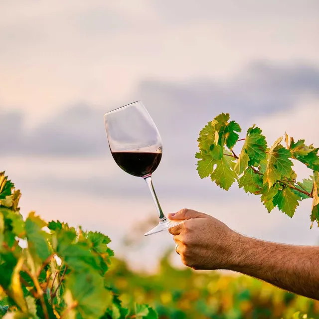 Pizzanørderi Vinsmagning 30.10.2026 til pizzaaften